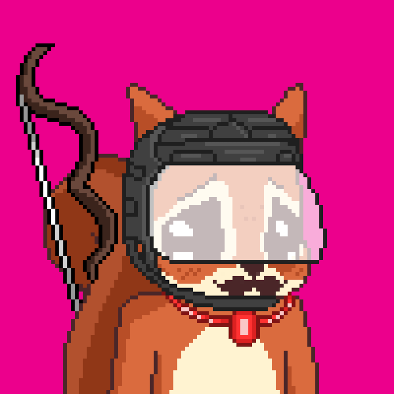 Pixel Squirrels #9054